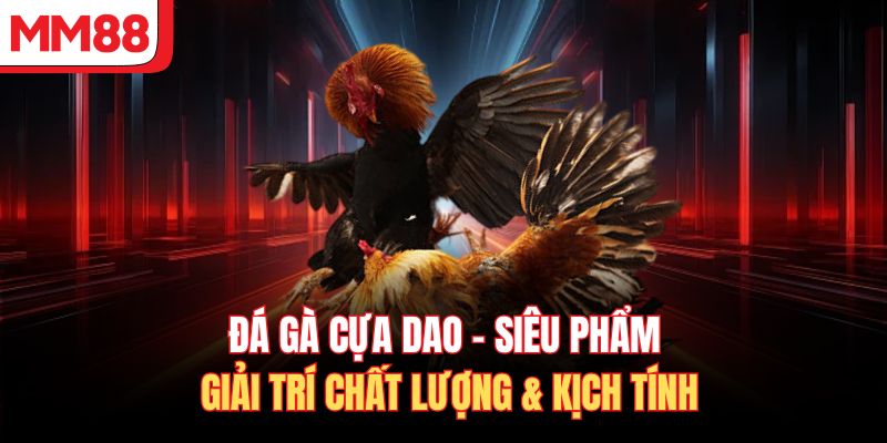 Đá Gà Cựa Dao - Siêu Phẩm Giải Trí Chất Lượng & Kịch Tính