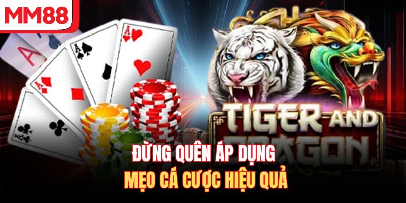 Đừng quên áp dụng mẹo cá cược hiệu quả