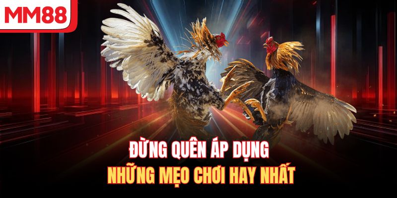 Đừng quên áp dụng những mẹo chơi hay nhất