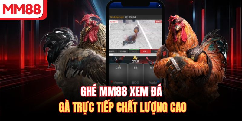 Ghé MM88 xem đá gà trực tiếp chất lượng cao