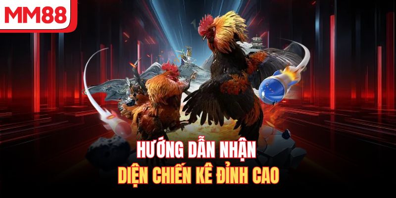 Hướng dẫn nhận diện chiến kê đỉnh cao