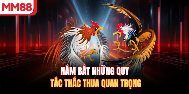 Nắm bắt những quy tắc thắc thua quan trọng