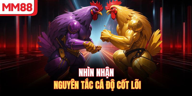 Nhìn nhận nguyên tắc cá độ cốt lõi
