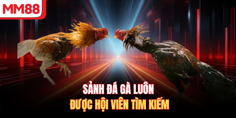 Sảnh đá gà luôn được hội viên tìm kiếm
