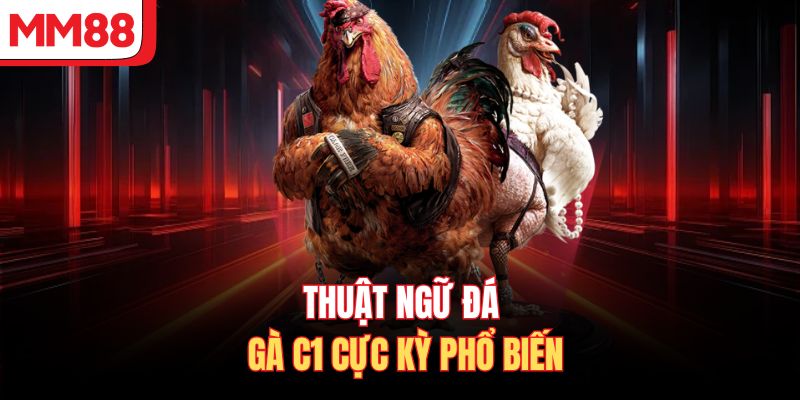 Thuật ngữ đá gà C1 cực kỳ phổ biến