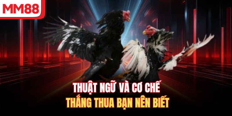 Thuật ngữ và cơ chế thắng thua bạn nên biết