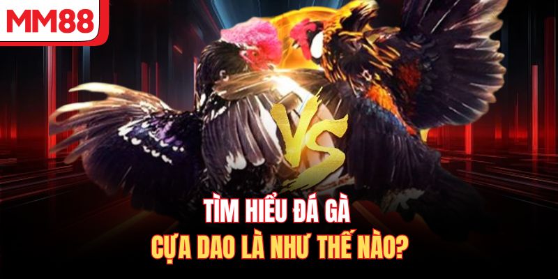 Tìm hiểu đá gà cựa dao là như thế nào?