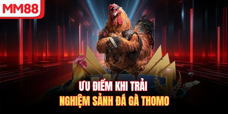 Ưu điểm khi trải nghiệm sảnh đá gà Thomo